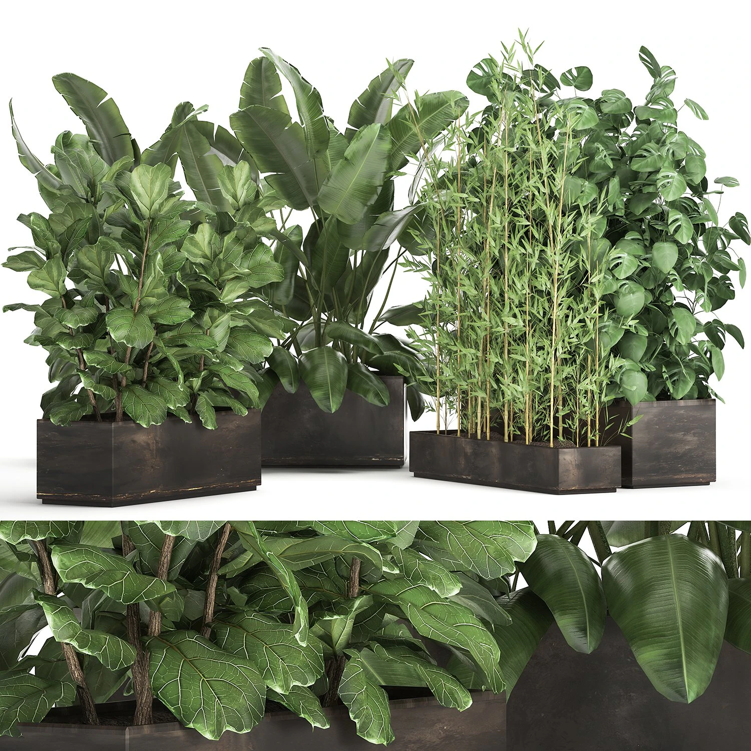 exotic plants in a rusty flowerpot for the interior 993 3D Model .c4d .max .obj .3ds .fbx .stl .blend 