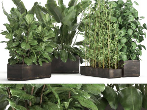 इंटीरियर के लिए जंग लगे फ्लावरपॉट में विदेशी पौधे 993 3D मॉडल