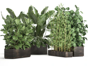 exotic plants in a rusty flowerpot for the interior 993 3D Model