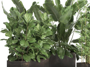 exotic plants in a rusty flowerpot for the interior 993 3D Model
