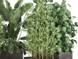 exotic plants in a rusty flowerpot for the interior 993 3D-Modell