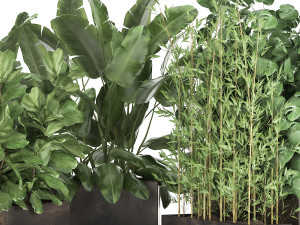 exotic plants in a rusty flowerpot for the interior 993 3D-Modell