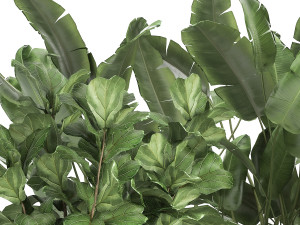 exotic plants in a rusty flowerpot for the interior 993 3D-Modell