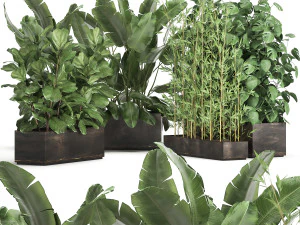 exotic plants in a rusty flowerpot for the interior 993 3D Model