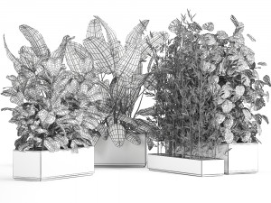 exotic plants in a rusty flowerpot for the interior 993 3D-Modell