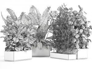 exotic plants in a rusty flowerpot for the interior 993 3D Model