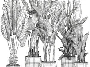 banana plants in a rusty flowerpot for the interior 994 3D Model
