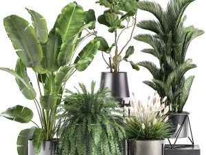 आंतरिक भाग के लिए जंग वाले फूल के गमले में हाउसप्लांट 996 3D मॉडल