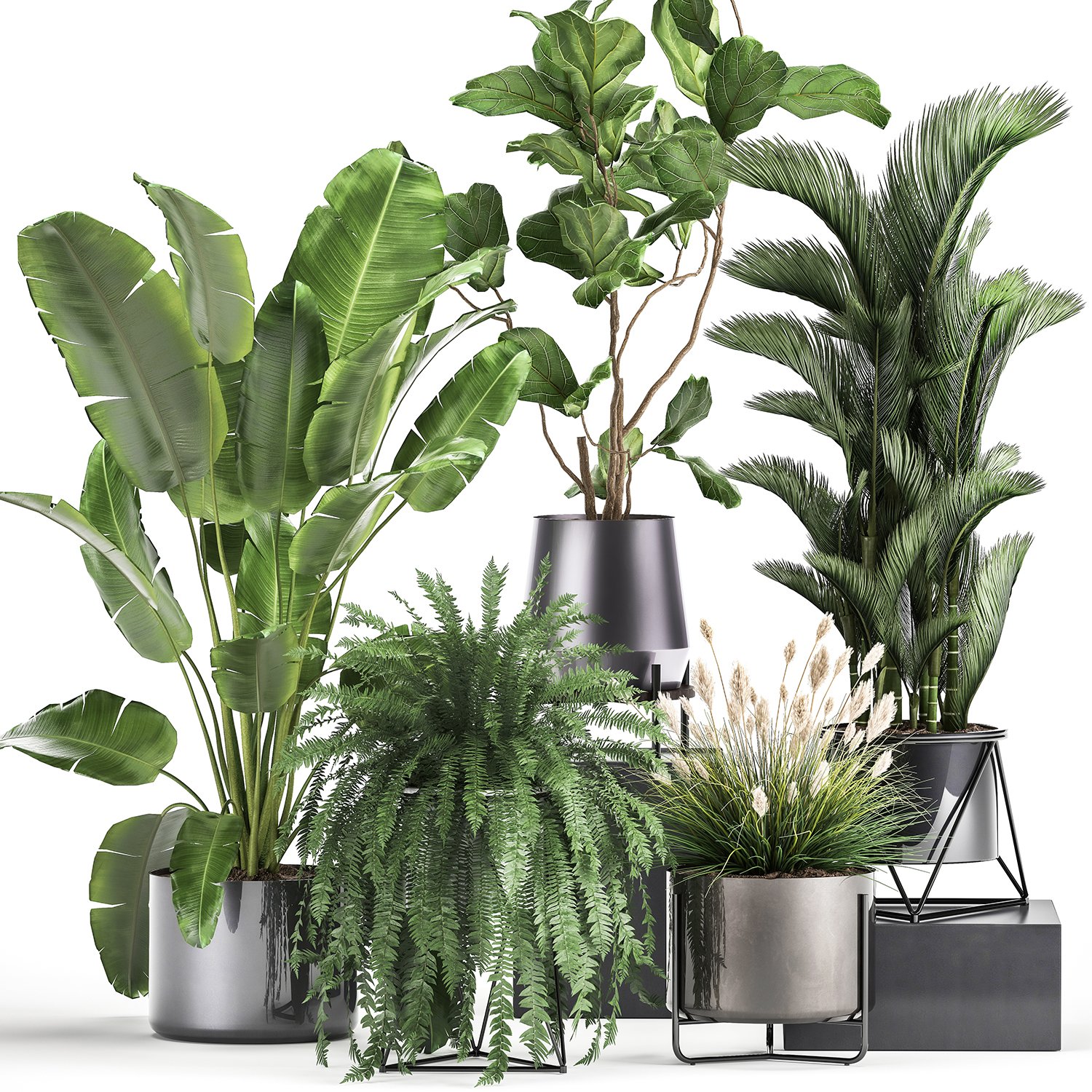Houseplants In A Rust Flowerpot For The Interior 996 3D Модель In.