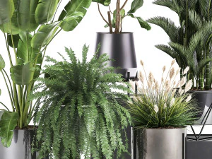 plantas de casa em um vaso de ferrugem para o interior 996 Modelo 3D