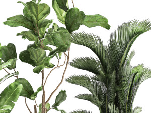 houseplants in a rust flowerpot for the interior 996 3D मॉडल