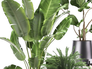 houseplants in a rust flowerpot for the interior 996 3D मॉडल