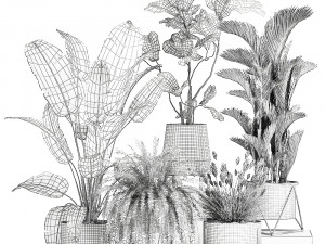 houseplants in a rust flowerpot for the interior 996 3D मॉडल