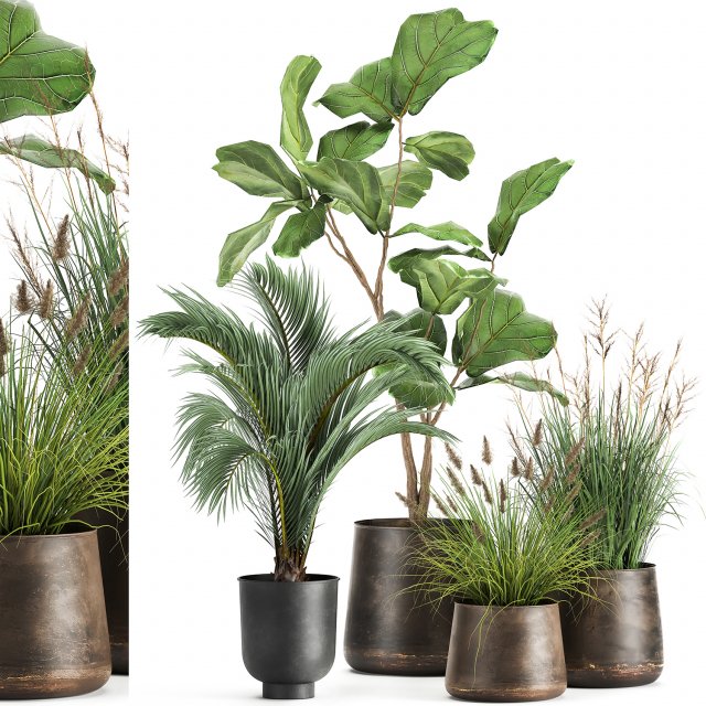houseplants in a rust flowerpot for the interior 997 3D Model .c4d .max .obj .3ds .fbx .stl .blend 