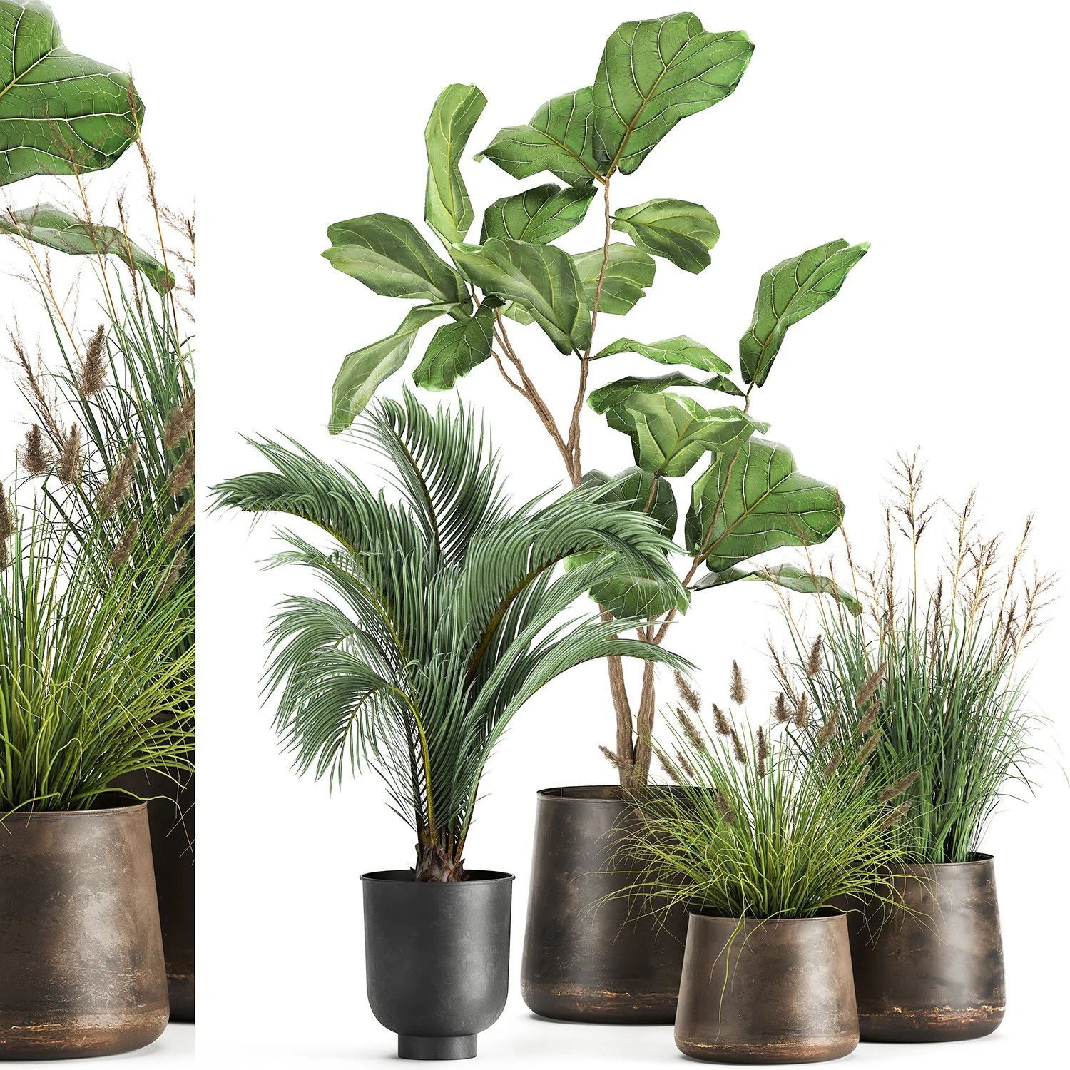 houseplants in a rust flowerpot for the interior 997 3D Model .c4d .max .obj .3ds .fbx .stl .blend 