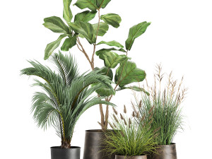 houseplants in a rust flowerpot for the interior 997 3D Model