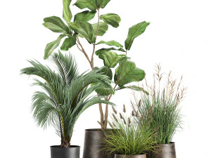 houseplants in a rust flowerpot for the interior 997 3D Model
