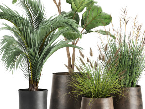 houseplants in a rust flowerpot for the interior 997 3D Model