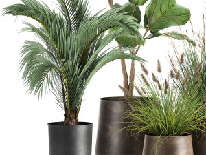 houseplants in a rust flowerpot for the interior 997 3D Model