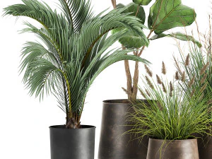 houseplants in a rust flowerpot for the interior 997 3D Model
