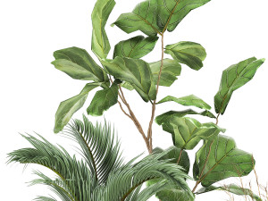 houseplants in a rust flowerpot for the interior 997 3D Model