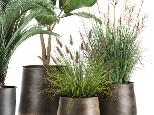 houseplants in a rust flowerpot for the interior 997 3D Model