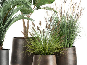 houseplants in a rust flowerpot for the interior 997 3D Model