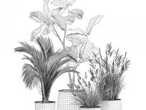 houseplants in a rust flowerpot for the interior 997 3D Model