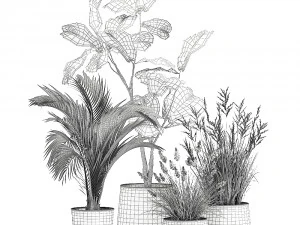 houseplants in a rust flowerpot for the interior 997 3D Model