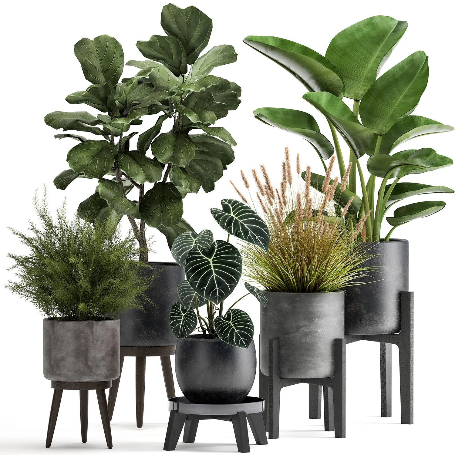 houseplants in a rust flowerpot for the interior 998 3D Model .c4d .max .obj .3ds .fbx .stl .blend