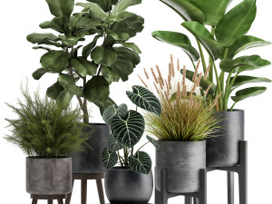 houseplants in a rust flowerpot for the interior 998 3D Model
