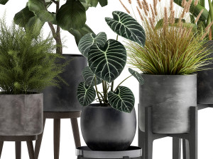 houseplants in a rust flowerpot for the interior 998 3D Model