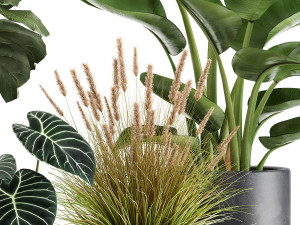 houseplants in a rust flowerpot for the interior 998 3D Model