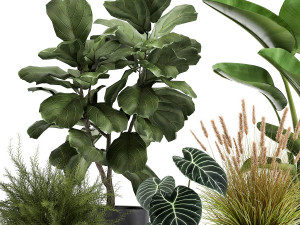 houseplants in a rust flowerpot for the interior 998 3D Model
