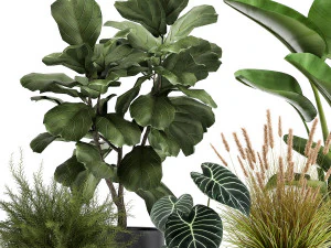 houseplants in a rust flowerpot for the interior 998 3D Model