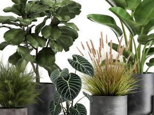 houseplants in a rust flowerpot for the interior 998 3D Model