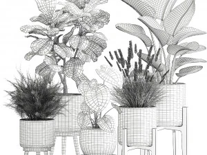 houseplants in a rust flowerpot for the interior 998 3D Model