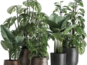 plantas de casa em um vaso enferrujado para o interior 999 Modelo 3D