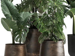 houseplants in a rusty flowerpot for the interior 999 3D Model