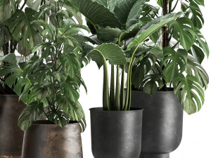 houseplants in a rusty flowerpot for the interior 999 3D Model
