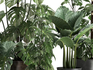 houseplants in a rusty flowerpot for the interior 999 3D Model