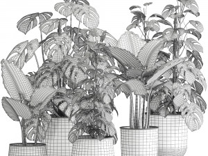 houseplants in a rusty flowerpot for the interior 999 3D Модель