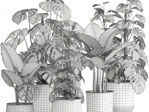 houseplants in a rusty flowerpot for the interior 999 3D Model