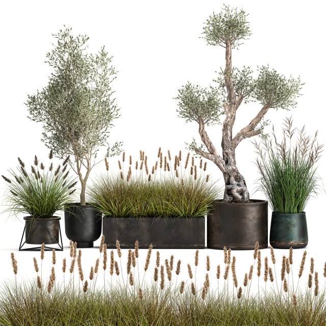 outdoor plants in a rust flowerpot for the interior 1000 Modello 3D .c4d .max .obj .3ds .fbx .stl .blend 