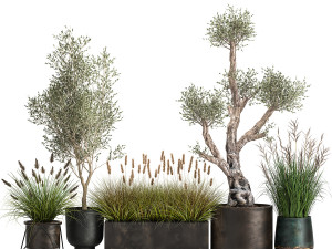 outdoor plants in a rust flowerpot for the interior 1000 Modello 3D