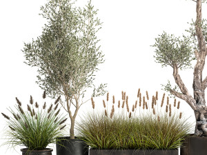 outdoor plants in a rust flowerpot for the interior 1000 Modello 3D