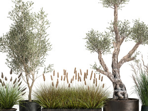 outdoor plants in a rust flowerpot for the interior 1000 Modello 3D