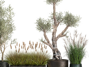 outdoor plants in a rust flowerpot for the interior 1000 Modello 3D