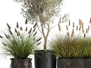 outdoor plants in a rust flowerpot for the interior 1000 Modello 3D