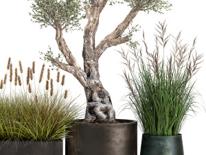 outdoor plants in a rust flowerpot for the interior 1000 Modello 3D